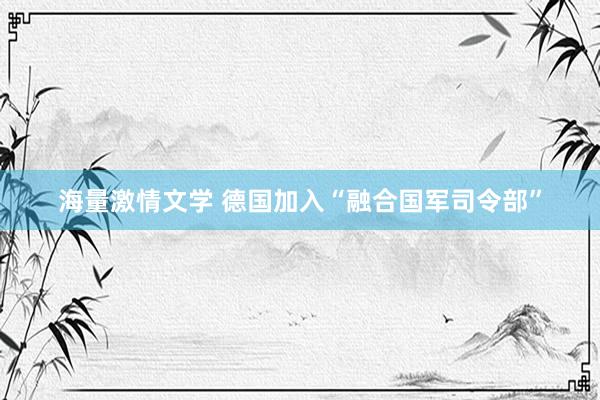 海量激情文学 德国加入“融合国军司令部”