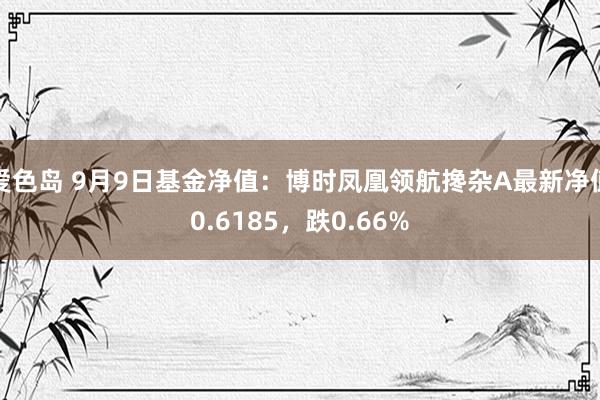 爱色岛 9月9日基金净值：博时凤凰领航搀杂A最新净值0.6185，跌0.66%