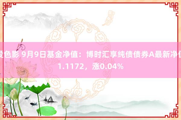 爱色影 9月9日基金净值：博时汇享纯债债券A最新净值1.1172，涨0.04%