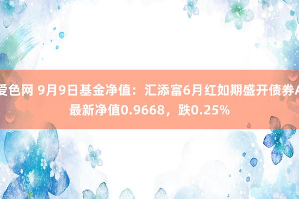 爱色网 9月9日基金净值：汇添富6月红如期盛开债券A最新净值0.9668，跌0.25%