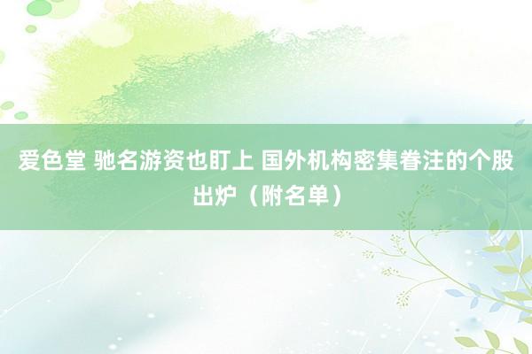 爱色堂 驰名游资也盯上 国外机构密集眷注的个股出炉（附名单）