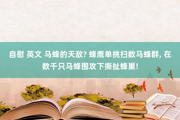 自慰 英文 马蜂的天敌? 蜂鹰单挑扫数马蜂群， 在数千只马蜂围攻下撕扯蜂巢!