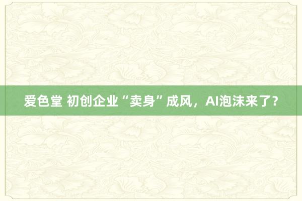 爱色堂 初创企业“卖身”成风，AI泡沫来了？