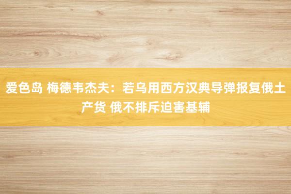 爱色岛 梅德韦杰夫：若乌用西方汉典导弹报复俄土产货 俄不排斥迫害基辅