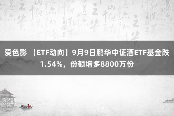 爱色影 【ETF动向】9月9日鹏华中证酒ETF基金跌1.54%，份额增多8800万份