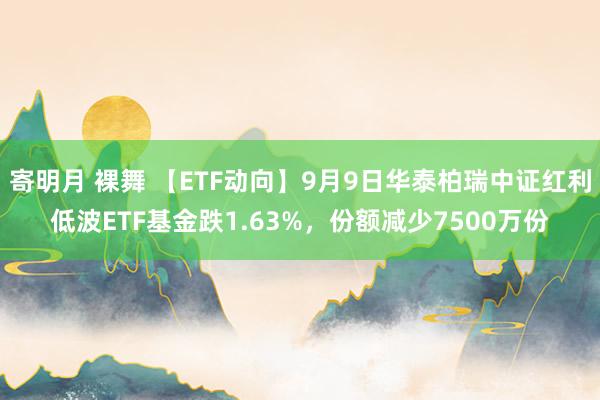 寄明月 裸舞 【ETF动向】9月9日华泰柏瑞中证红利低波ETF基金跌1.63%，份额减少7500万份