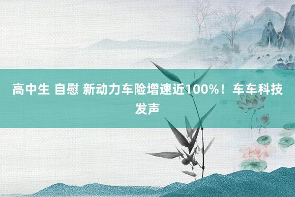 高中生 自慰 新动力车险增速近100%！车车科技发声