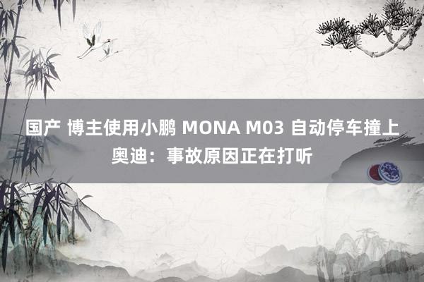 国产 博主使用小鹏 MONA M03 自动停车撞上奥迪：事故原因正在打听