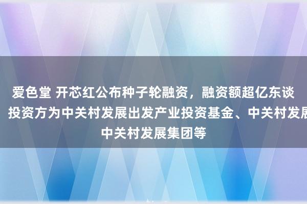 爱色堂 开芯红公布种子轮融资，融资额超亿东谈主民币，投资方为中关村发展出发产业投资基金、中关村发展集团等