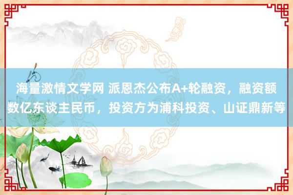 海量激情文学网 派恩杰公布A+轮融资，融资额数亿东谈主民币，投资方为浦科投资、山证鼎新等