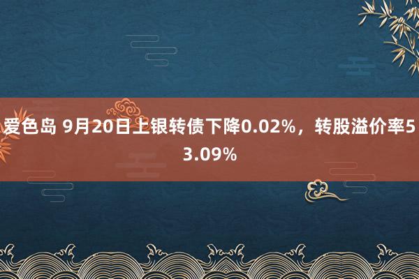 爱色岛 9月20日上银转债下降0.02%，转股溢价率53.09%