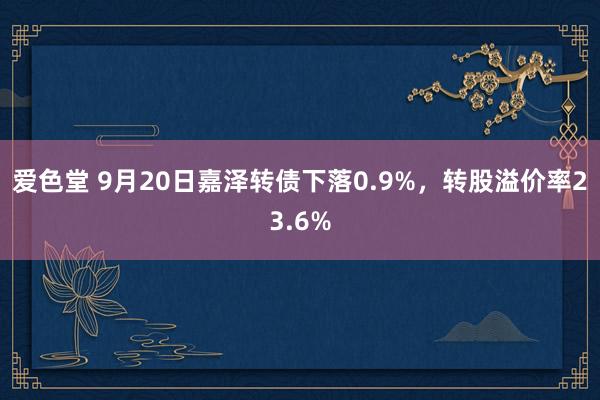 爱色堂 9月20日嘉泽转债下落0.9%，转股溢价率23.6%