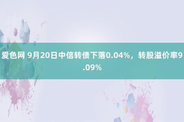 爱色网 9月20日中信转债下落0.04%，转股溢价率9.09%