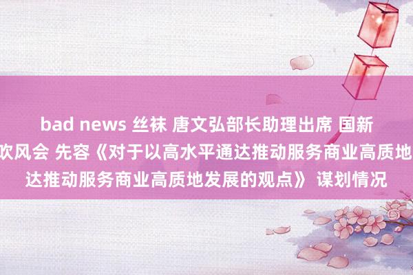 bad news 丝袜 唐文弘部长助理出席 国新办举行国务院政策例行吹风会 先容《对于以高水平通达推动服务商业高质地发展的观点》 谋划情况