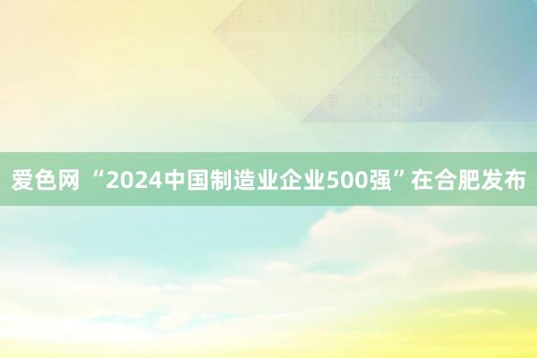 爱色网 “2024中国制造业企业500强”在合肥发布