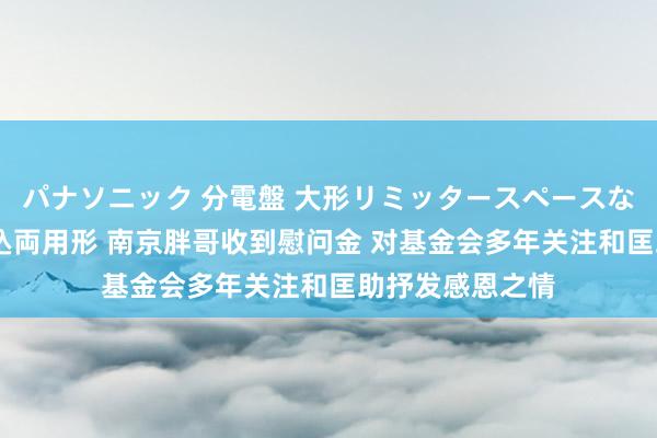 パナソニック 分電盤 大形リミッタースペースなし 露出・半埋込両用形 南京胖哥收到慰问金 对基金会多年关注和匡助抒发感恩之情