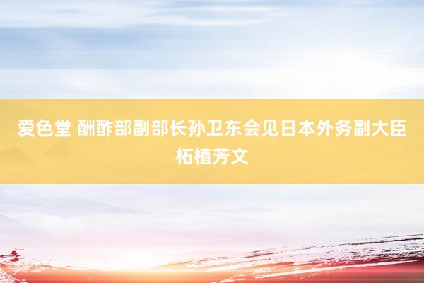 爱色堂 酬酢部副部长孙卫东会见日本外务副大臣柘植芳文