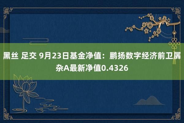 黑丝 足交 9月23日基金净值：鹏扬数字经济前卫羼杂A最新净值0.4326