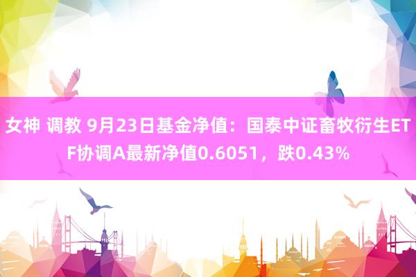 女神 调教 9月23日基金净值：国泰中证畜牧衍生ETF协调A最新净值0.6051，跌0.43%