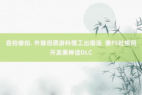 自拍偷拍. 外媒但愿游科慢工出细活  像FS社相同开发黑神话DLC