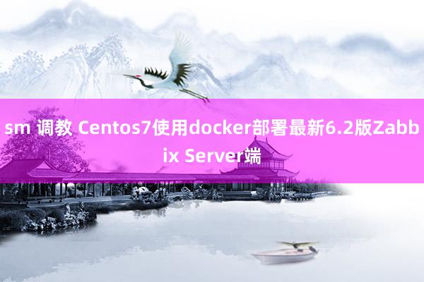 sm 调教 Centos7使用docker部署最新6.2版Zabbix Server端