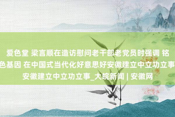 爱色堂 梁言顺在造访慰问老干部老党员时强调 铭刻初隐痛业传承红色基因 在中国式当代化好意思好安徽建立中立功立事_大皖新闻 | 安徽网