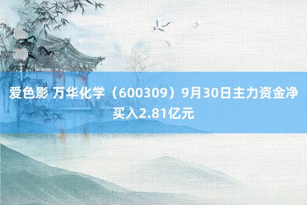 爱色影 万华化学（600309）9月30日主力资金净买入2.81亿元