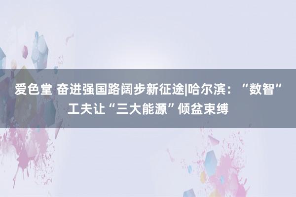 爱色堂 奋进强国路　阔步新征途|哈尔滨：“数智”工夫让“三大能源”倾盆束缚