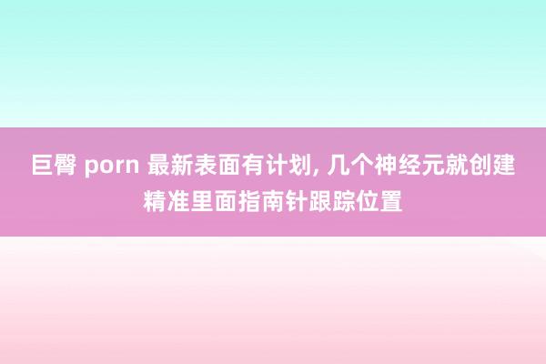 巨臀 porn 最新表面有计划， 几个神经元就创建精准里面指南针跟踪位置