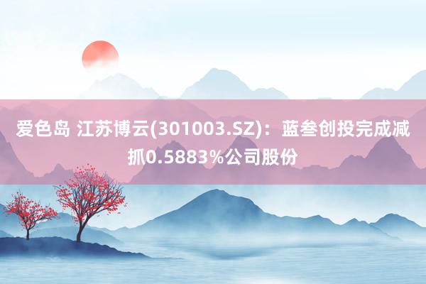 爱色岛 江苏博云(301003.SZ)：蓝叁创投完成减抓0.5883%公司股份