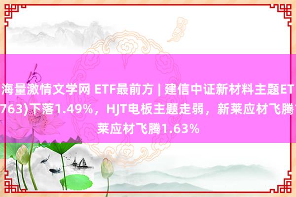 海量激情文学网 ETF最前方 | 建信中证新材料主题ETF(159763)下落1.49%，HJT电板主题走弱，新莱应材飞腾1.63%