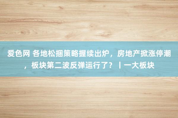 爱色网 各地松捆策略握续出炉，房地产掀涨停潮，板块第二波反弹运行了？丨一大板块