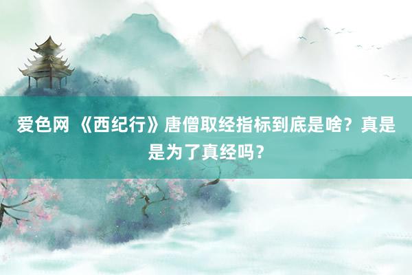 爱色网 《西纪行》唐僧取经指标到底是啥？真是是为了真经吗？