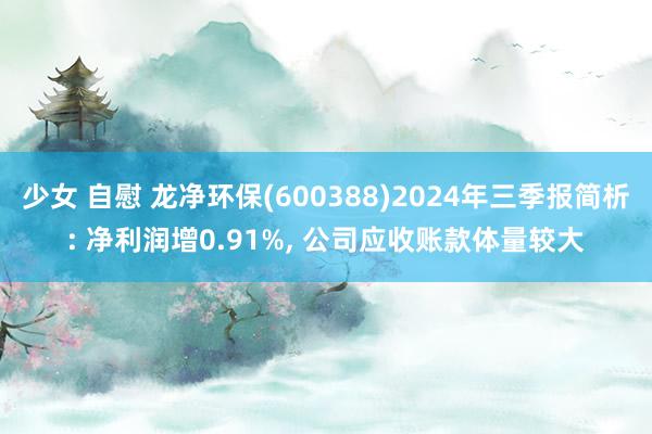 少女 自慰 龙净环保(600388)2024年三季报简析: 净利润增0.91%， 公司应收账款体量较大