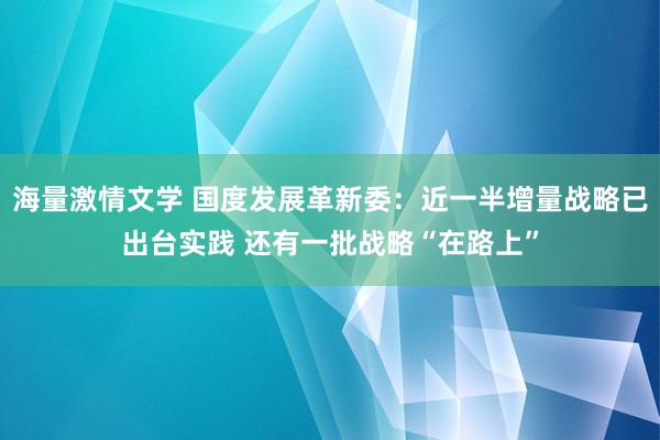 海量激情文学 国度发展革新委：近一半增量战略已出台实践 还有一批战略“在路上”