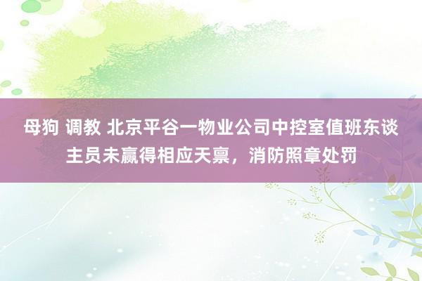 母狗 调教 北京平谷一物业公司中控室值班东谈主员未赢得相应天禀，消防照章处罚