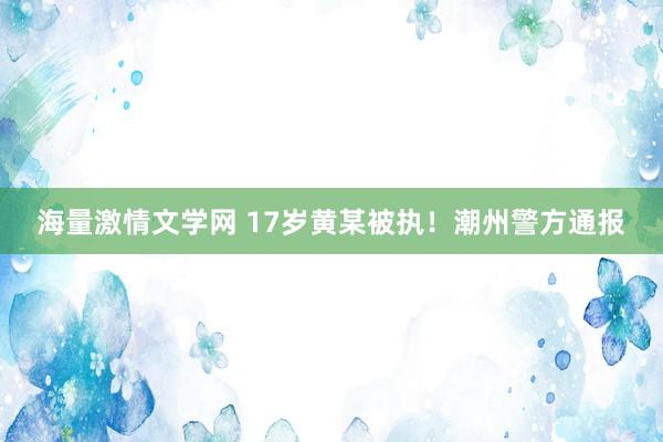 海量激情文学网 17岁黄某被执！潮州警方通报