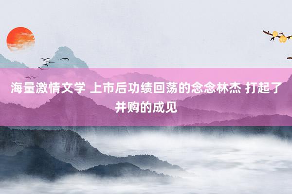 海量激情文学 上市后功绩回荡的念念林杰 打起了并购的成见