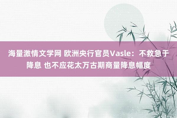 海量激情文学网 欧洲央行官员Vasle：不救急于降息 也不应花太万古期商量降息幅度