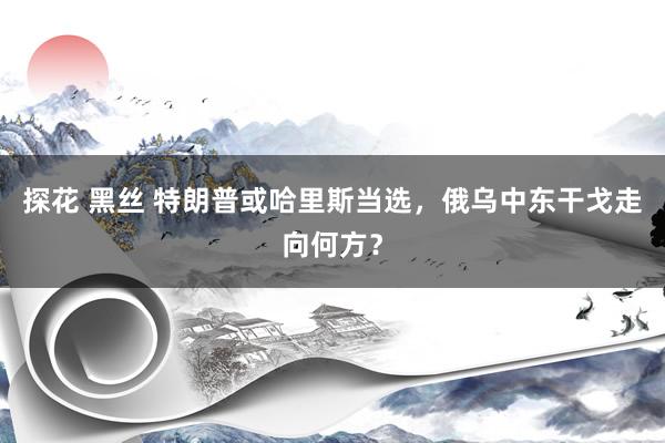 探花 黑丝 特朗普或哈里斯当选，俄乌中东干戈走向何方？