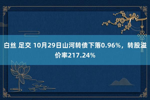 白丝 足交 10月29日山河转债下落0.96%，转股溢价率217.24%