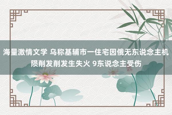 海量激情文学 乌称基辅市一住宅因俄无东说念主机陨削发削发生失火 9东说念主受伤