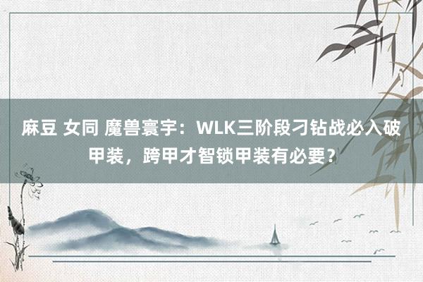 麻豆 女同 魔兽寰宇：WLK三阶段刁钻战必入破甲装，跨甲才智锁甲装有必要？