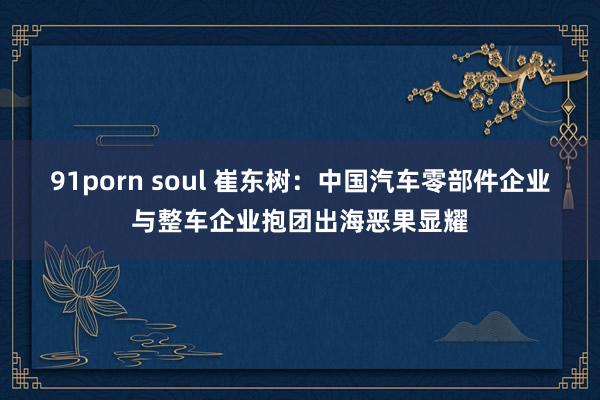 91porn soul 崔东树：中国汽车零部件企业与整车企业抱团出海恶果显耀