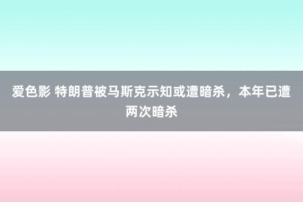 爱色影 特朗普被马斯克示知或遭暗杀，本年已遭两次暗杀