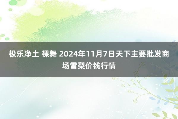 极乐净土 裸舞 2024年11月7日天下主要批发商场雪梨价钱行情