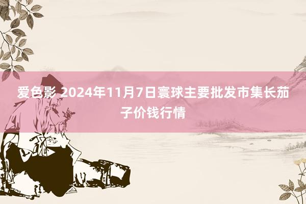 爱色影 2024年11月7日寰球主要批发市集长茄子价钱行情