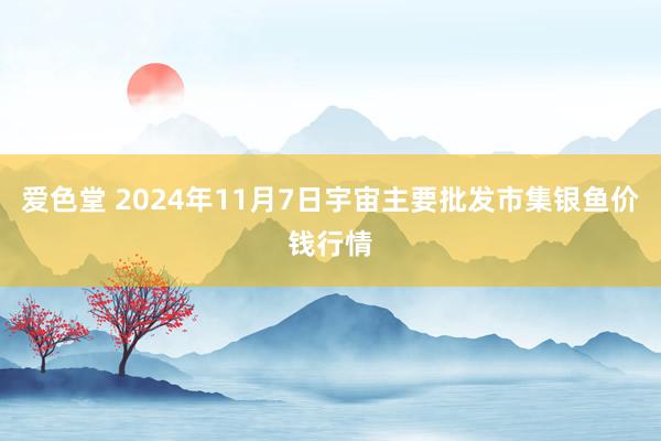 爱色堂 2024年11月7日宇宙主要批发市集银鱼价钱行情