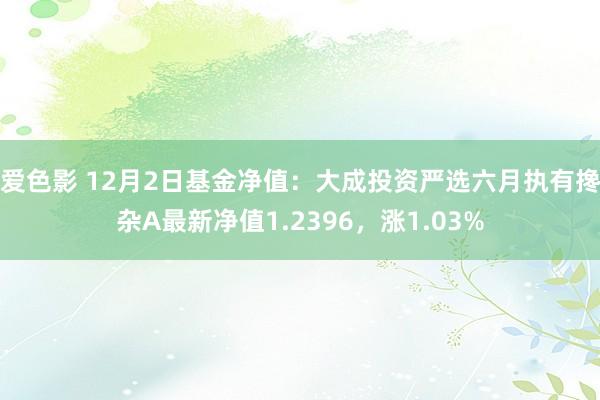 爱色影 12月2日基金净值：大成投资严选六月执有搀杂A最新净值1.2396，涨1.03%