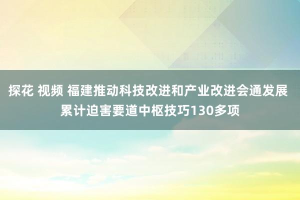 探花 视频 福建推动科技改进和产业改进会通发展 累计迫害要道中枢技巧130多项